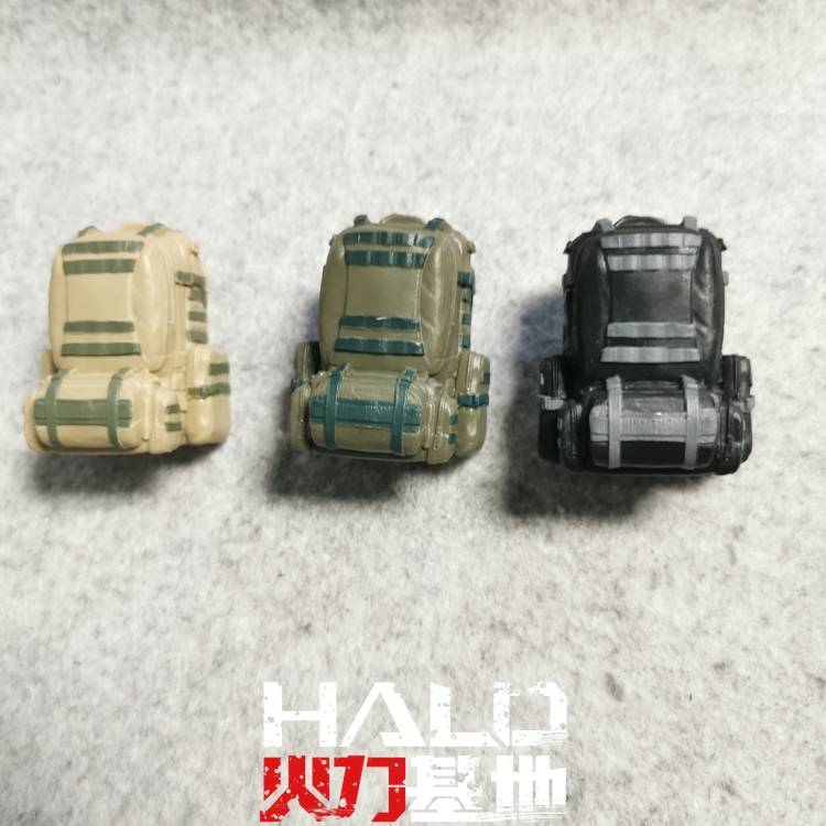 Back pack 1 (random individual)